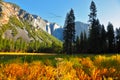 The Yosemite park