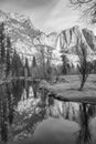 Yosemite Falls Reflection with Winter Trees and Pond Royalty Free Stock Photo