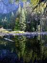 Yosemite reflection 4 Royalty Free Stock Photo