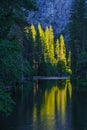 Yosemite Reflection Royalty Free Stock Photo