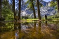Yosemite reflection mountains
