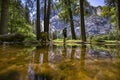 Yosemite reflection mountains person Royalty Free Stock Photo