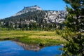Yosemite Reflection Royalty Free Stock Photo