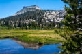 Yosemite Reflection