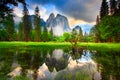 Yosemite Rocks Sunset