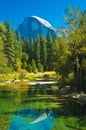 Yosemite's half-dome Royalty Free Stock Photo