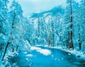 Yosemite`s Winter Snowy Wonderland lines the Merced River