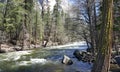 Yosemite Valley in all its glory - Merced River and View of El C Royalty Free Stock Photo