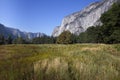 Yosemite Valley floor Royalty Free Stock Photo