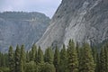 Yosemite Valley Scenery Royalty Free Stock Photo