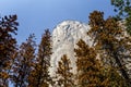 Yosemite valley, Yosemite national park, California, usa Royalty Free Stock Photo