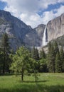 Yosemite waterfall Royalty Free Stock Photo