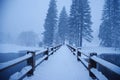 Yosemite Winter Royalty Free Stock Photo