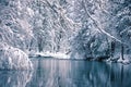 Yosemite Winter Royalty Free Stock Photo