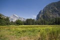 Yosemity Royalty Free Stock Photo