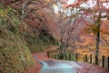 Yoshino mountain autumn forest road in Nara, Japan