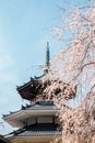 Yoshino mountain Kinpusen-ji temple with spring cherry blossoms in Nara, Japan