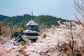 Yoshino mountain Kinpusen-ji temple with spring cherry blossoms in Nara, Japan