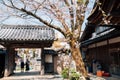 Yoshino mountain kizou-in temple with spring cherry blossoms in Nara, Japan