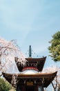 Yoshino mountain Tonan-in temple with spring cherry blossoms in Nara, Japan