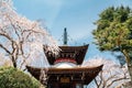 Yoshino mountain Tonan-in temple with spring cherry blossoms in Nara, Japan