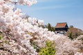 Yoshino mountain Yoshimizu Shrine with spring cherry blossoms in Nara, Japan