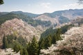 Yoshinoyama. Royalty Free Stock Photo