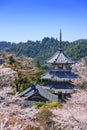 Yoshinoyama, Japan at Kinpusenji Pagoda Royalty Free Stock Photo