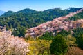 Yoshinoyama, Japan in Spring Royalty Free Stock Photo