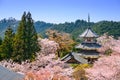 Yoshinoyama, Japan Spring Scene