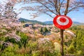 Yoshinoyama, nara, japan Royalty Free Stock Photo