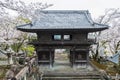 Yoshiura wooden shrine with white sakura blossom, Kashima