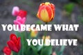 You became what you believe  wise phrases Royalty Free Stock Photo