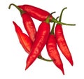 Isolated chili pepper with a white background