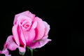 You can complain coz Rose have Thorns, or u can rejoice coz thorns have roses