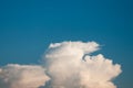 Giant face cloud