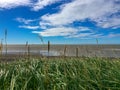 Grass and Wild Arctic Beach Royalty Free Stock Photo