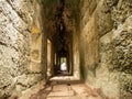 Inside Ta Prohm Temple iin Siam Reap Tomb Raider temple