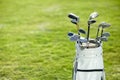 You cant play without these. A golf bag on the golf course. Royalty Free Stock Photo