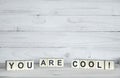 You are cool. Letters and words on wooden cubes. On a white wooden background Royalty Free Stock Photo