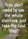 You don\'t need to see the whole staircase, just take the first step quote by martin luther king jr