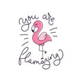 You are flamazing inspirational card with lettering and cute flamingo. Birthday greeting card or inspirational print. Vector