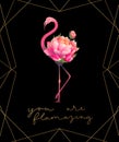 You are flamazing print with cute pink flamingo