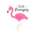 You are flamazing vector cute illustration drawing Royalty Free Stock Photo