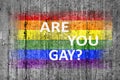 Are you GAY and LGBT flag painted on background texture gray concrete Royalty Free Stock Photo