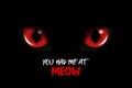 You Had Me At Meow. Vector 3d Realistic Red Cats Eye of a Black Cat. Cat Look in the Dark Black Background Closeup