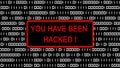 YOU HAVE BEEN HACKED! flashing warning in a red framed subscreen - permanently changing binary code as a background is destroyed
