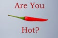 Are you hot?