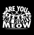 Are You Kitten Me Right Meow, Cat Lover Typography t shirt