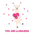 You are llamazing card with llama. Cute alpaca holding a heart with inscription